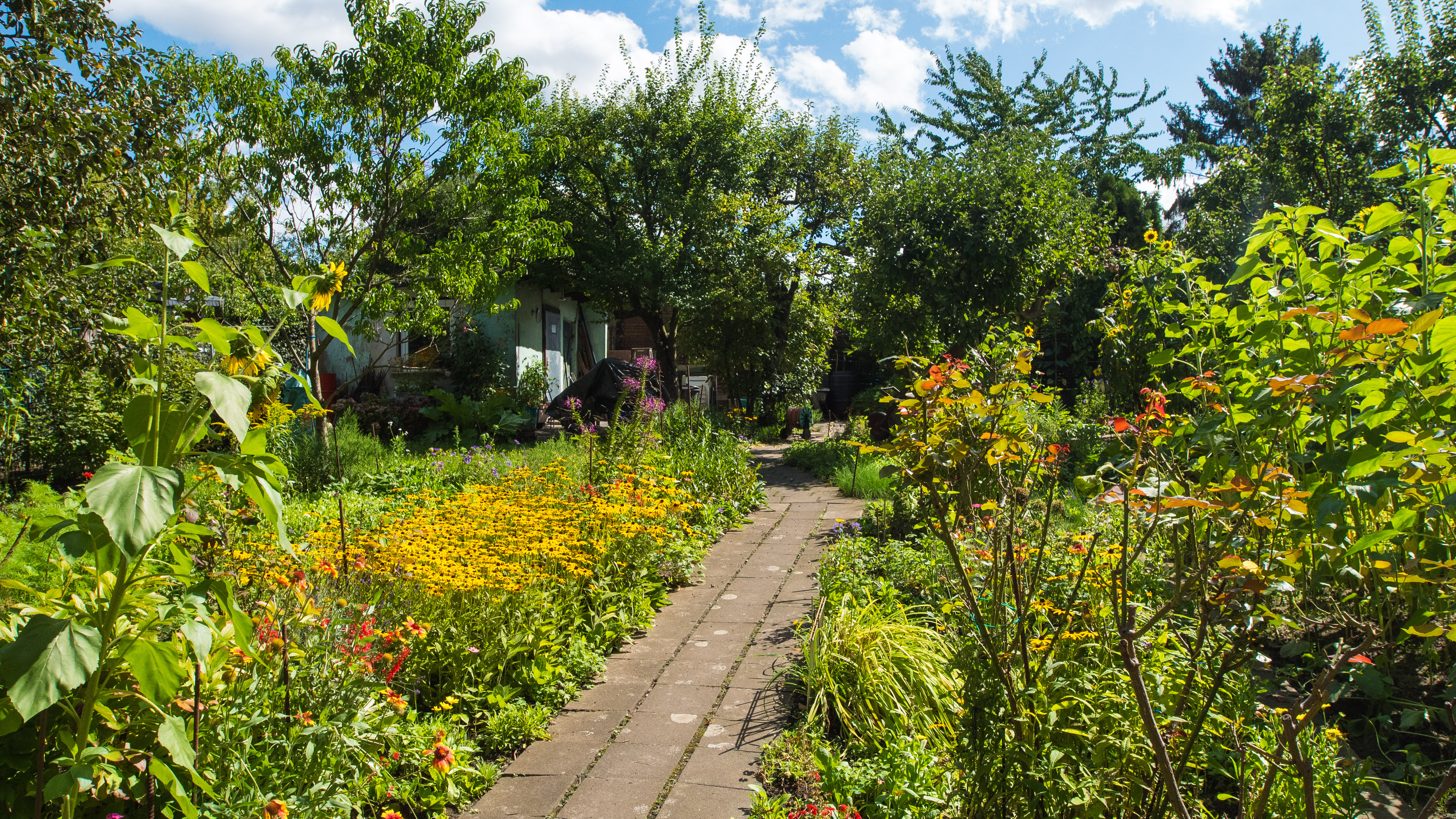 schrebergarten-weg