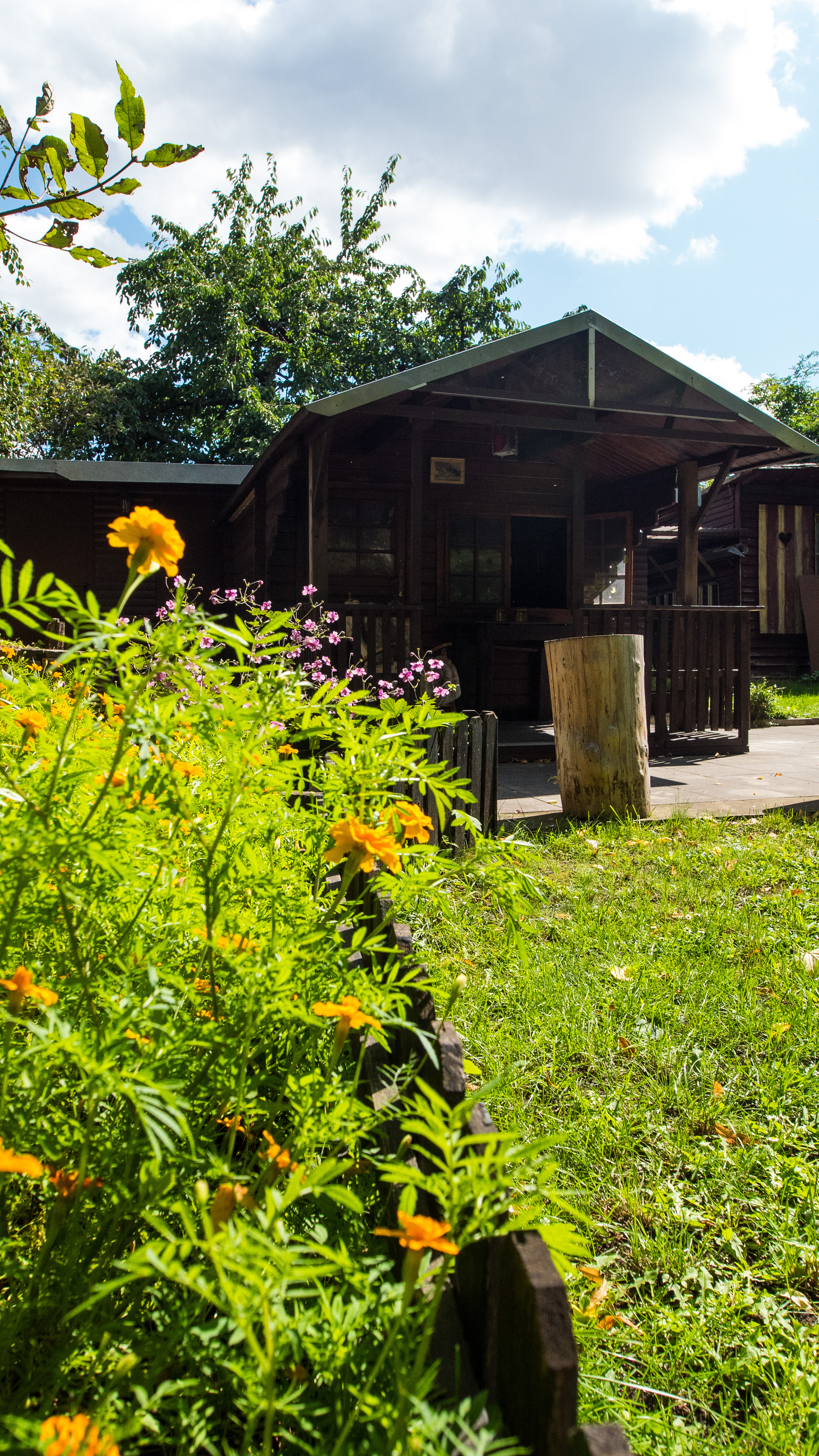 kleingarten-haus-mit-blumen