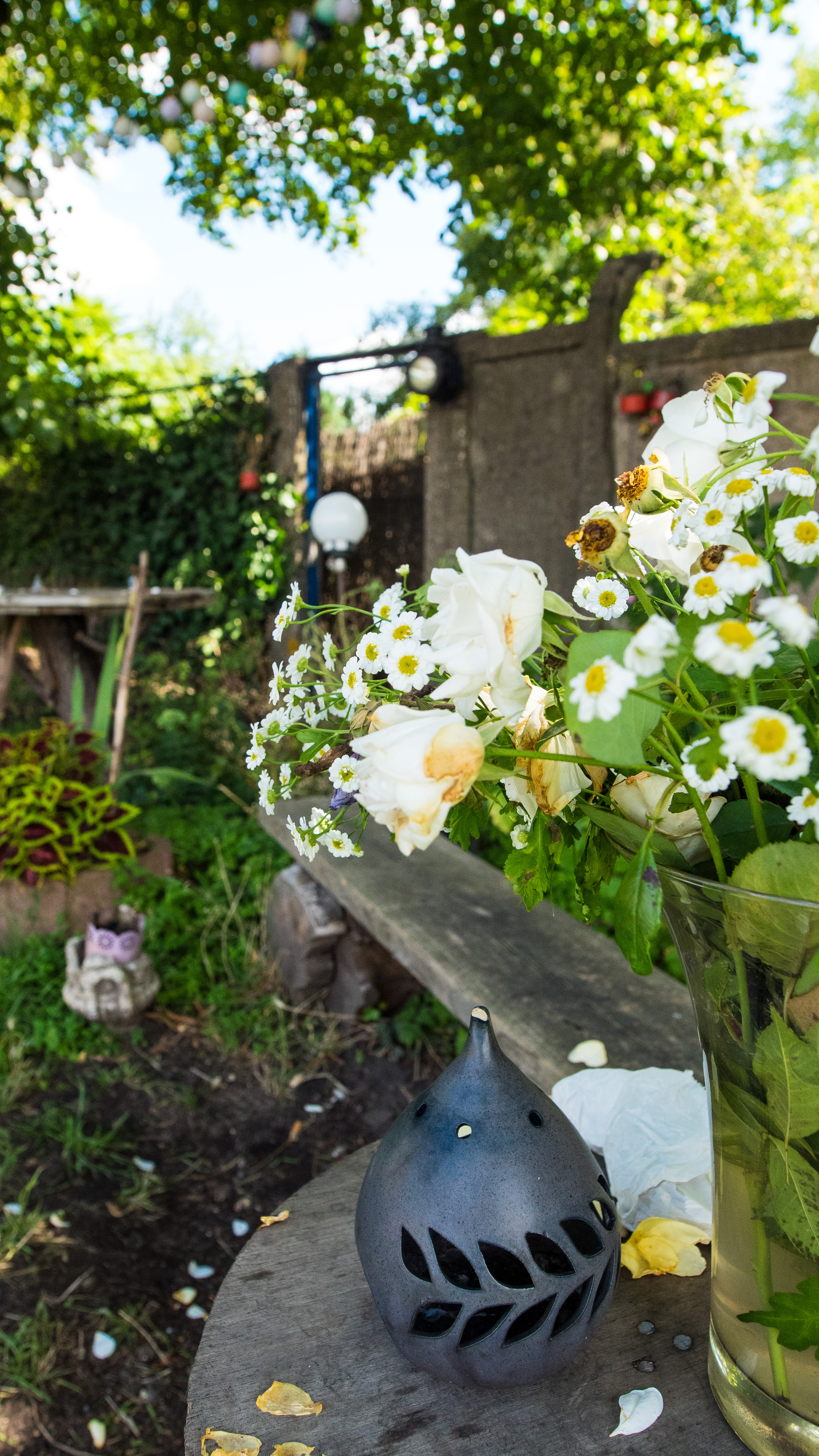 blumen-vor-dem-garten
