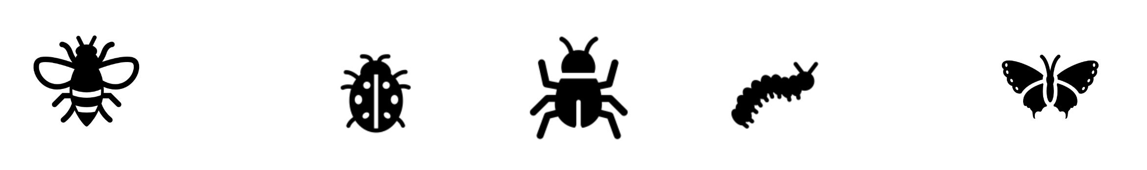 insekten