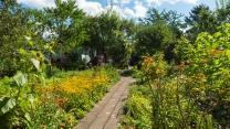 schrebergarten-weg